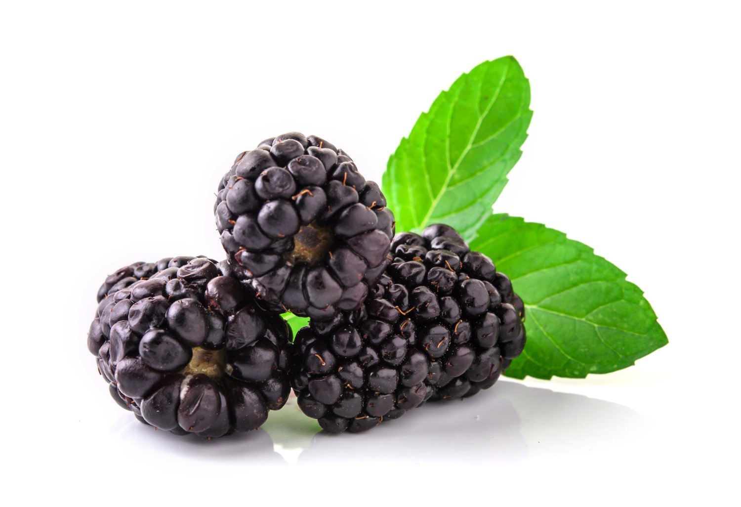 Eat More Blackberries Max Muscle Nutrition