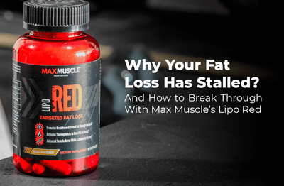 yohimbine vs l carnitine EXALT The Carni Burn L-Carnitine Beyondsupps l carnitine yohimbine