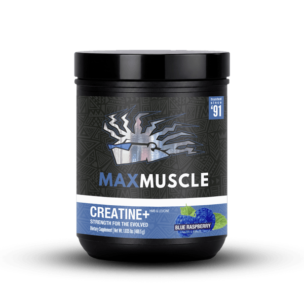 acety l carnitine Acetyl L-Carnitine 500 mg acety l carnitine Acetyl L-Carnitine 500 mg