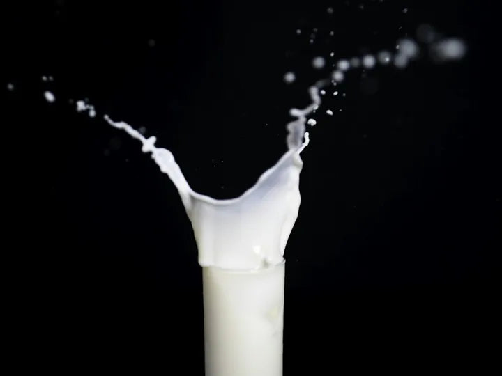 Micellar Casein