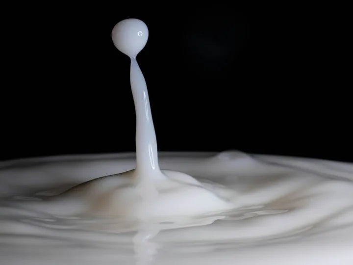 Potassium Caseinate